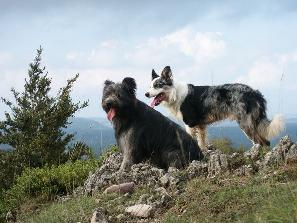 non mais qui c'est celui l&agrave; !