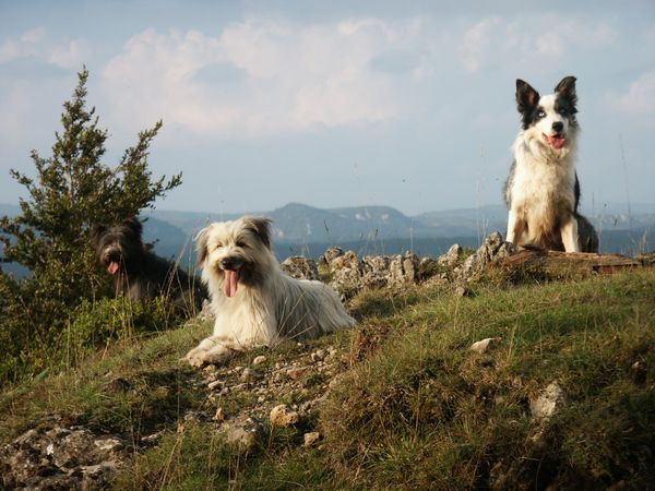 bon, ceux l&agrave;, &ccedil;a peut aller...